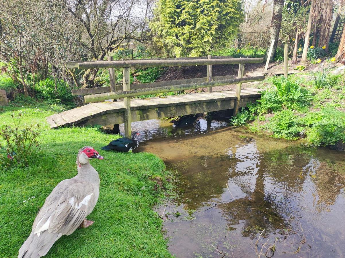 Pleasant Streams Barn * St Austell